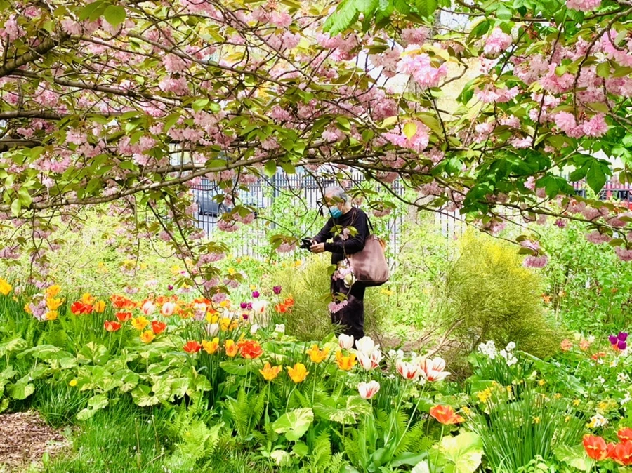 IMG_6990.jpg?type=w966