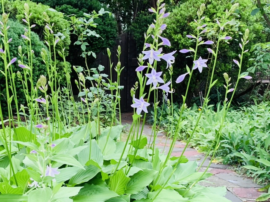 IMG_7173.jpg?type=w966