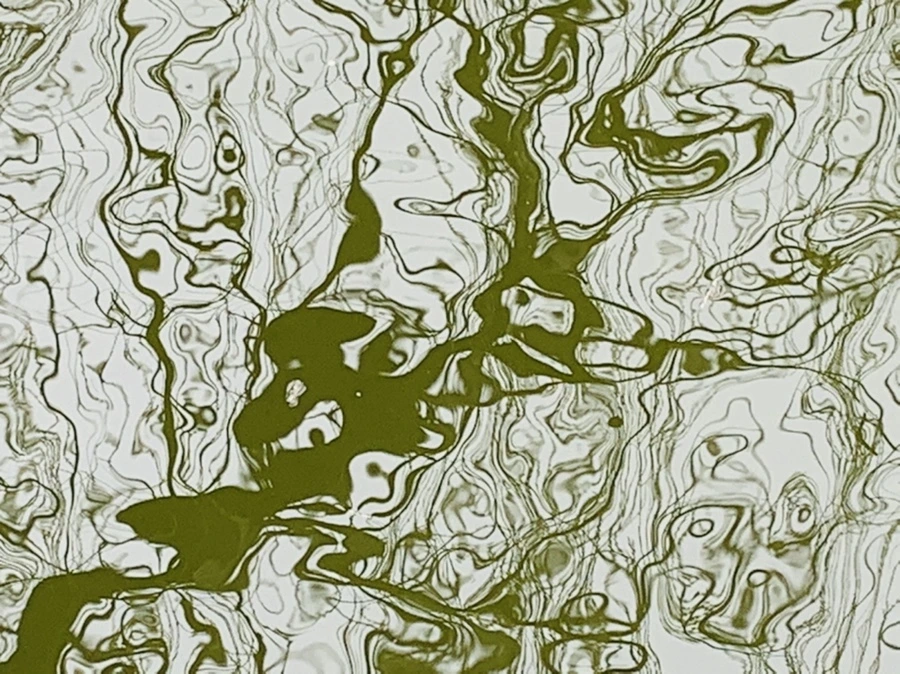 IMG_3838.jpg?type=w966