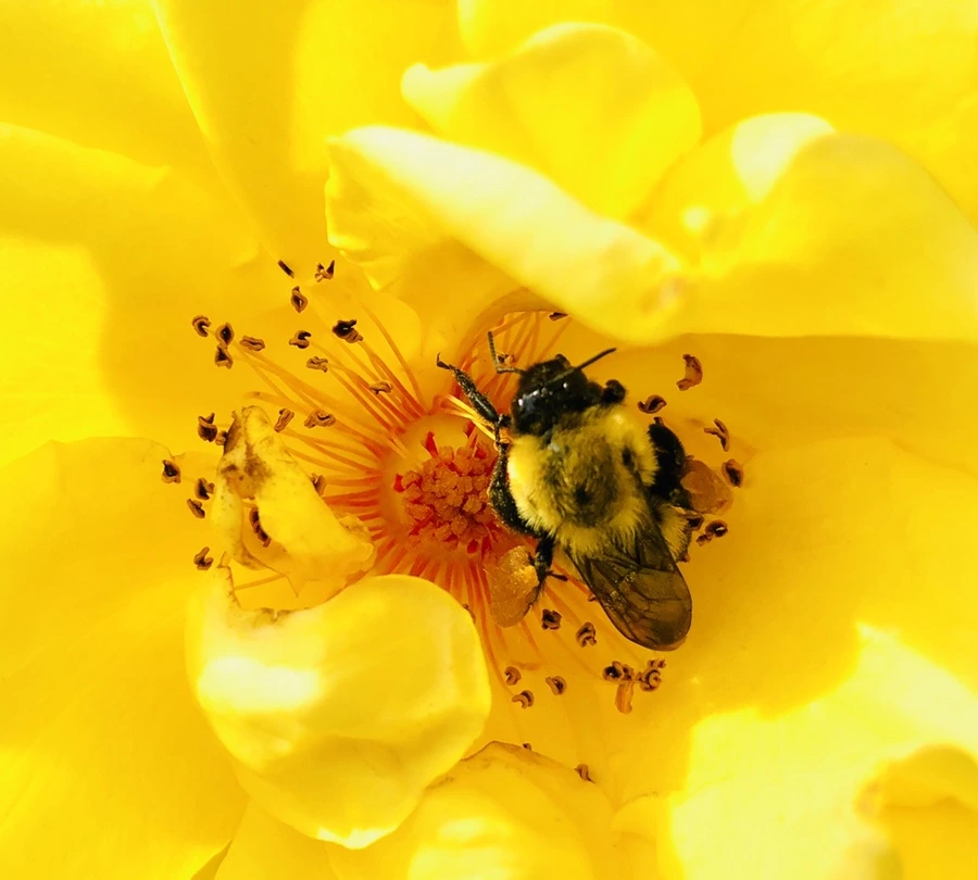 IMG_5907.jpg?type=w966