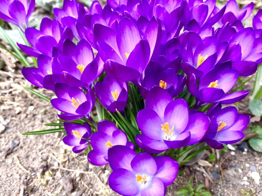 IMG_1063.jpg?type=w966