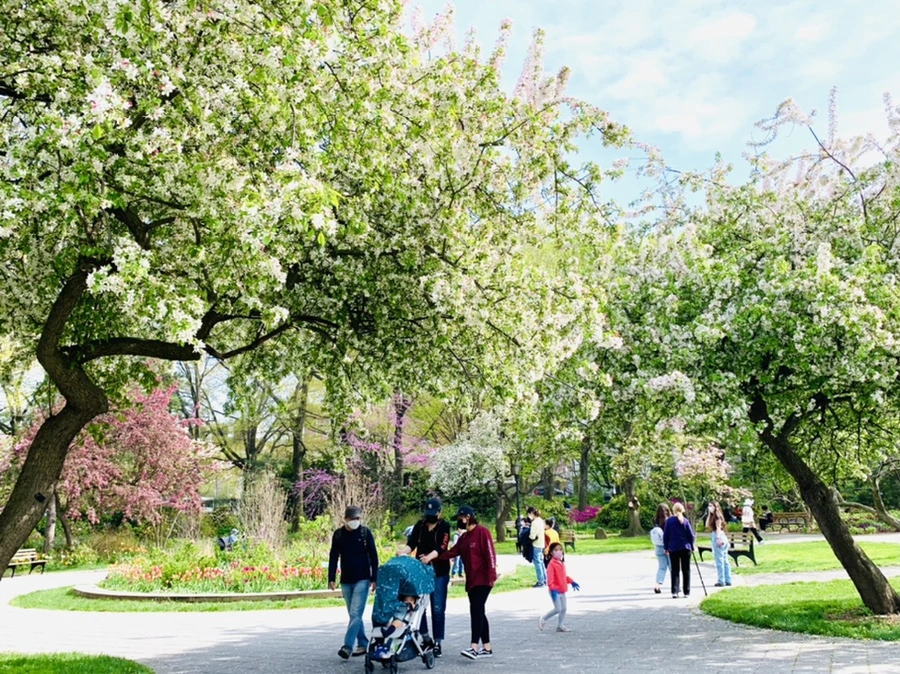 IMG_7048.jpg?type=w966