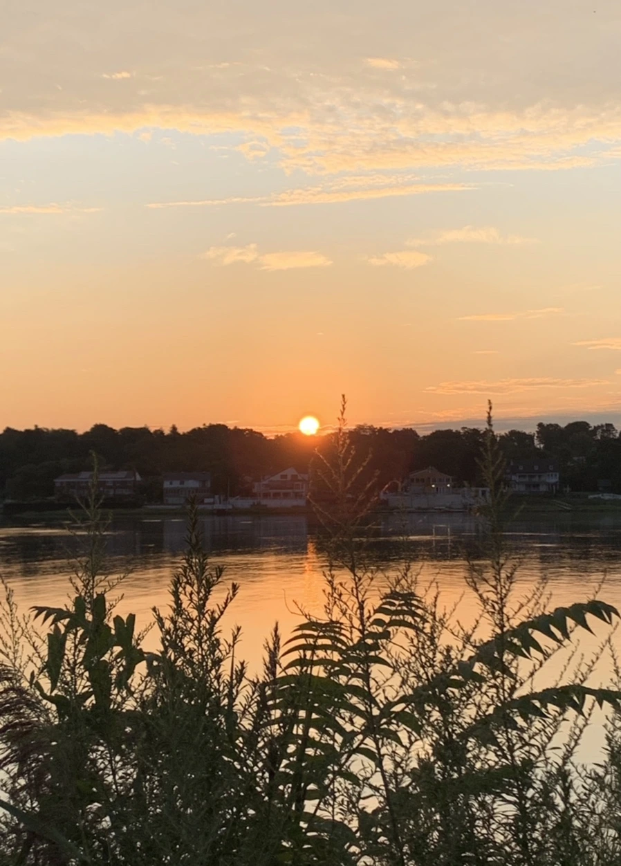 IMG_1271.jpg?type=w966