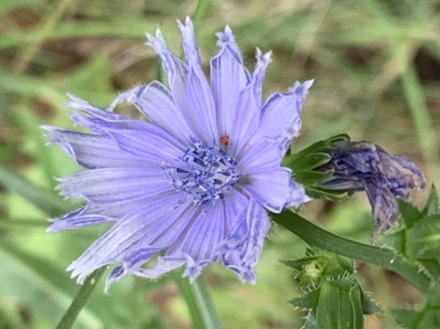 IMG_0729.jpg?type=w966