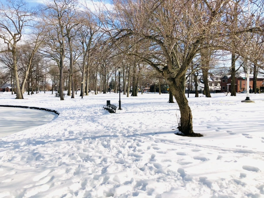 IMG_0082.jpg?type=w966