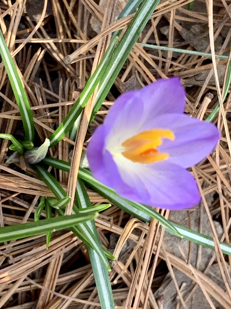 IMG_0132.jpg?type=w966