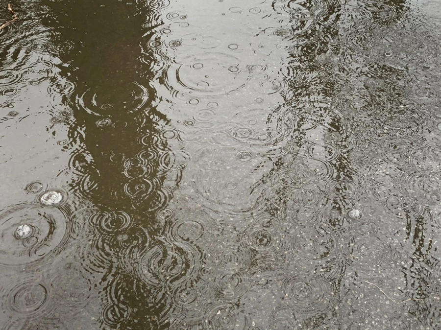 IMG_2031.jpg?type=w966