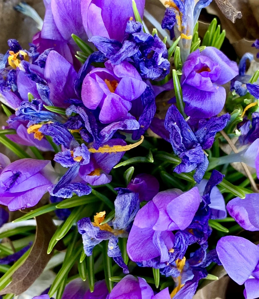 IMG_1430.jpg?type=w966