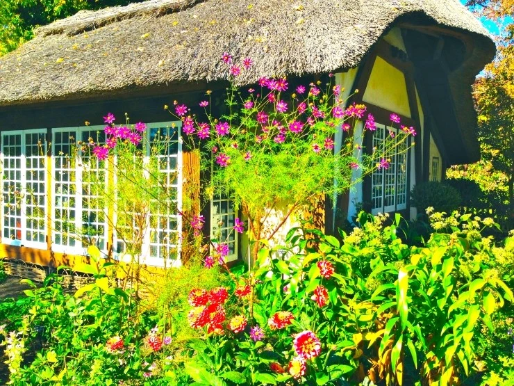 IMG_1893.JPG?type=w1