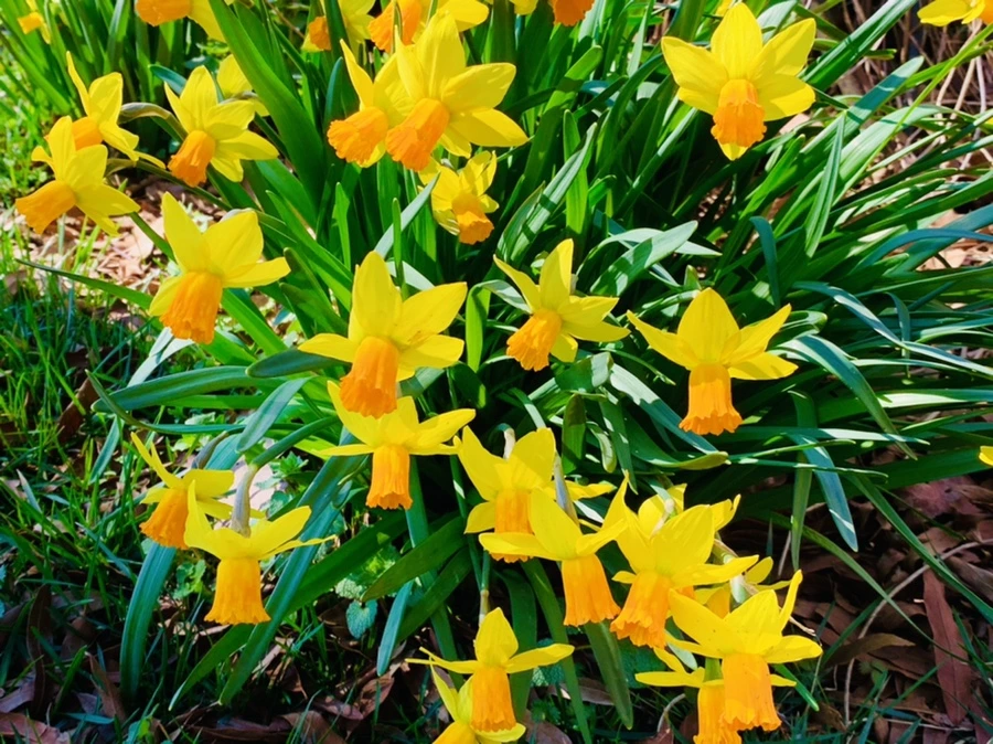 IMG_5810.jpg?type=w966