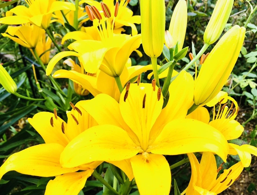 gHNDRSpbrN6gvZHKKmxTAweXfSo