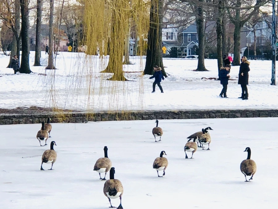 IMG_2936.jpg?type=w966