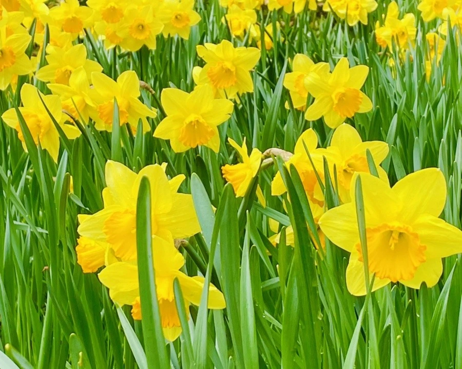 YYPqvqe0KzNwopIPXLmIr3mPzTw