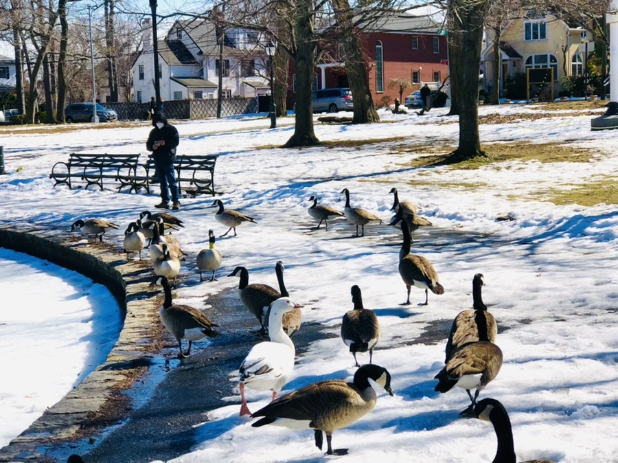 IMG_4885.jpg?type=w966