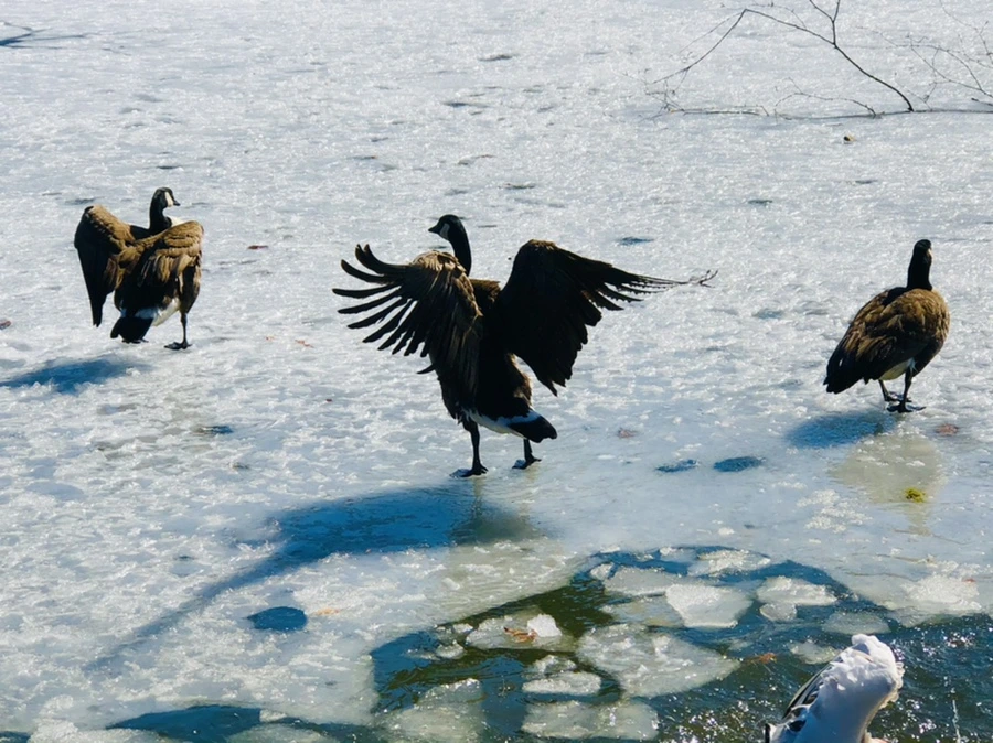 IMG_5304.jpg?type=w966