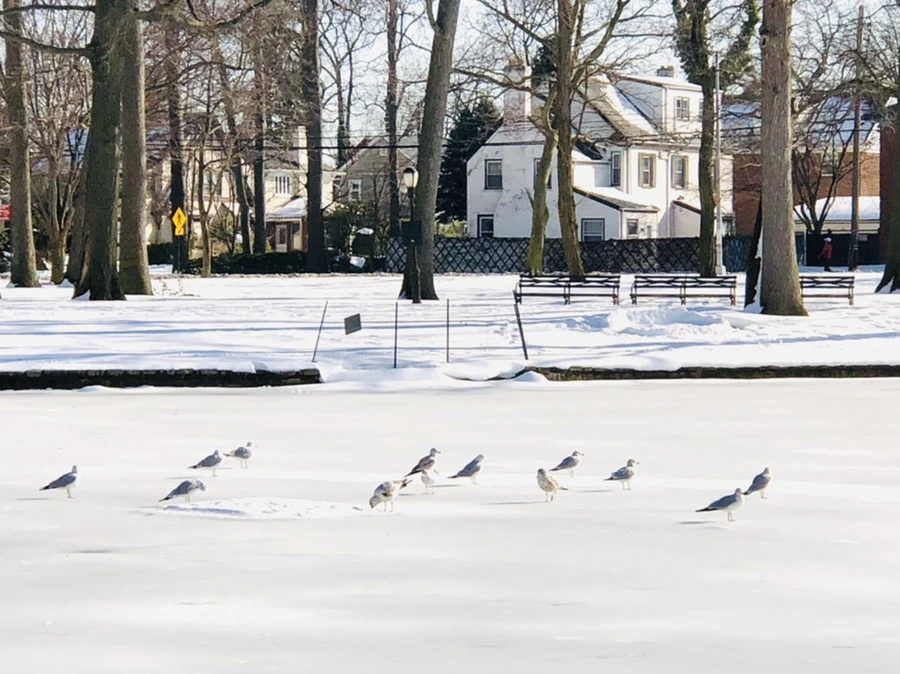 IMG_0334.jpg?type=w966