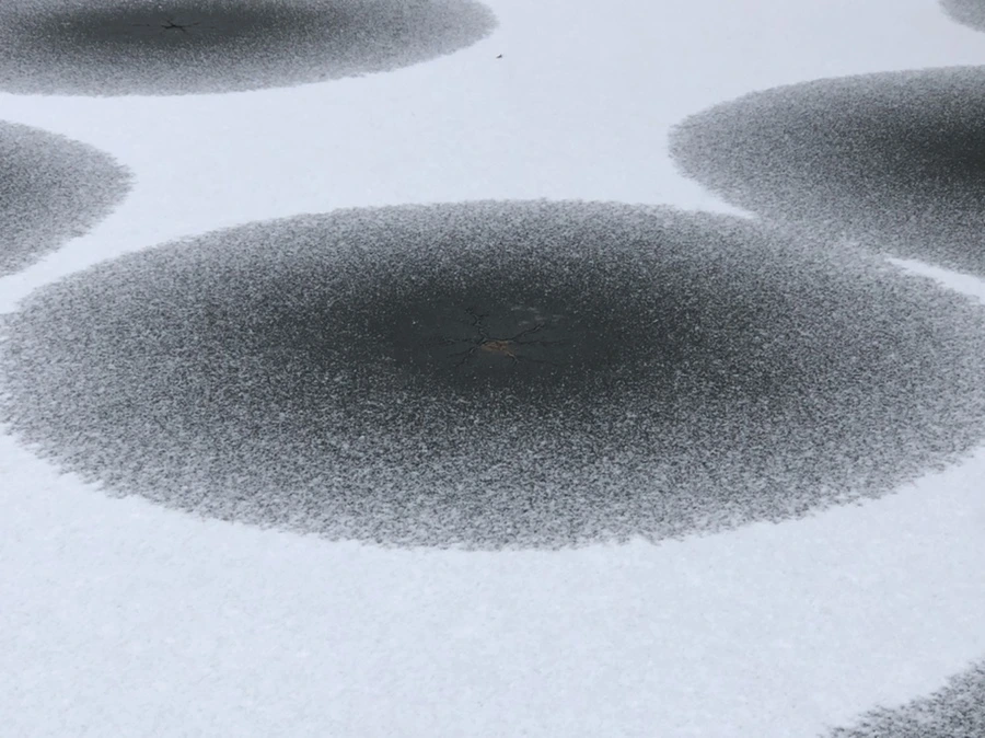 IMG_6174.jpg?type=w966