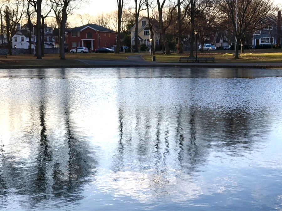 IMG_0913.jpg?type=w966