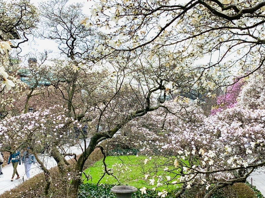 IMG_7135.jpg?type=w966