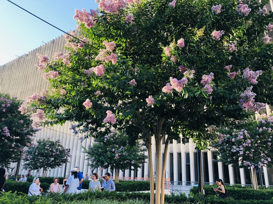 IMG_7409.jpg?type=w966