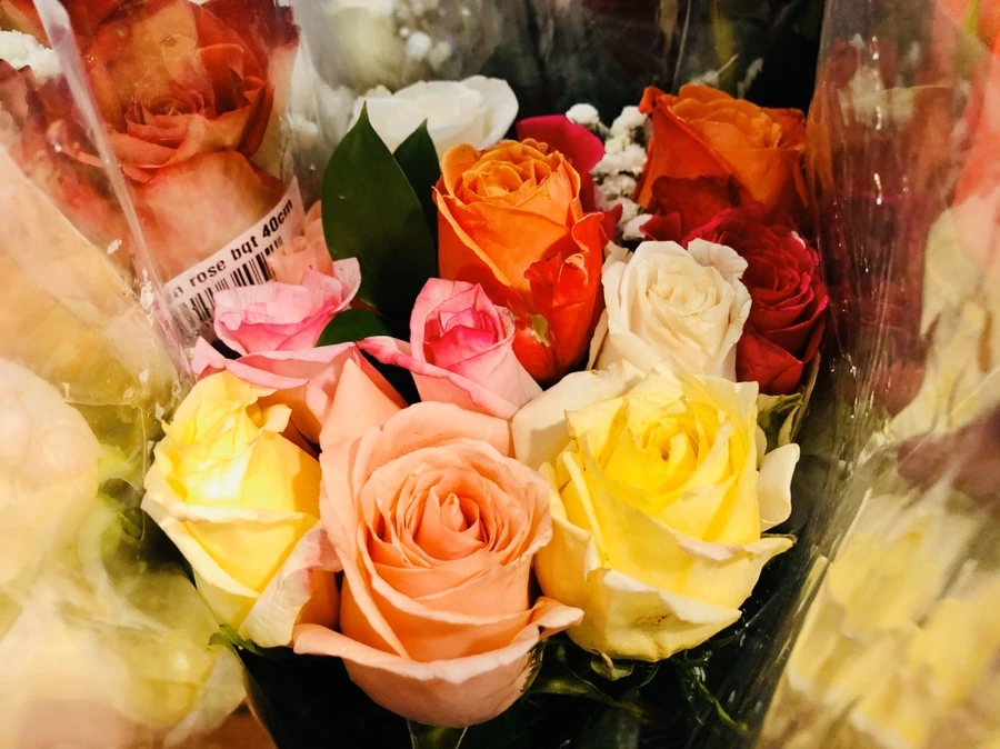 IMG_4804.jpg?type=w966