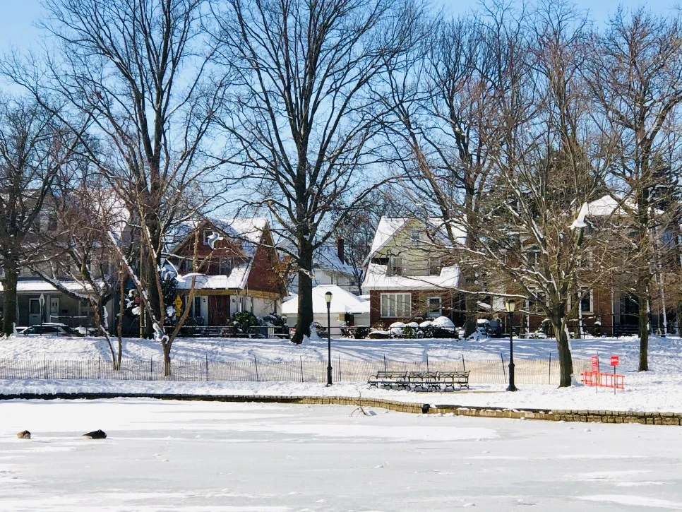 IMG_1291.jpg?type=w966