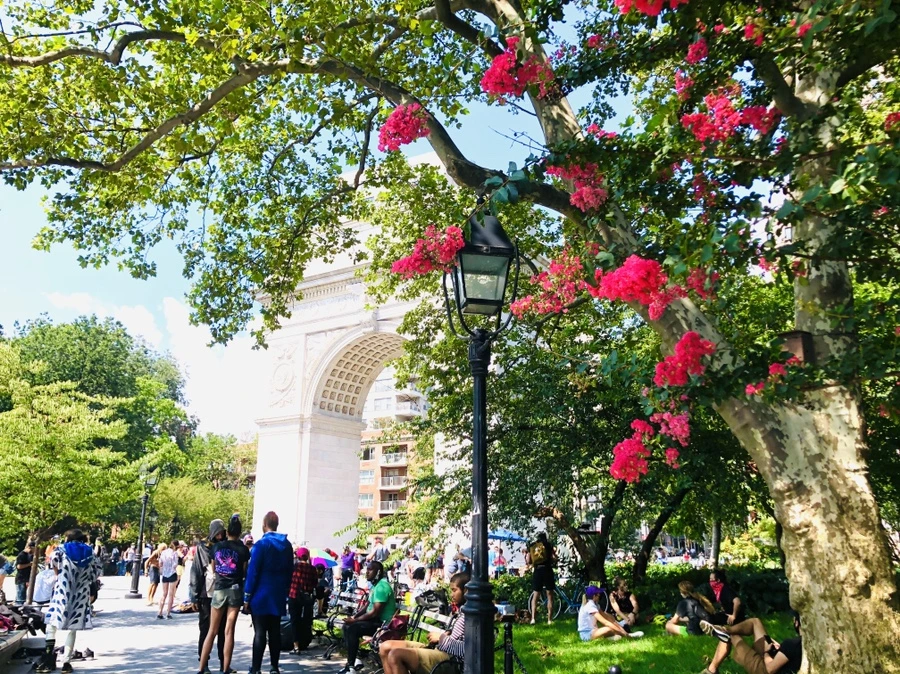 IMG_6370.jpg?type=w966