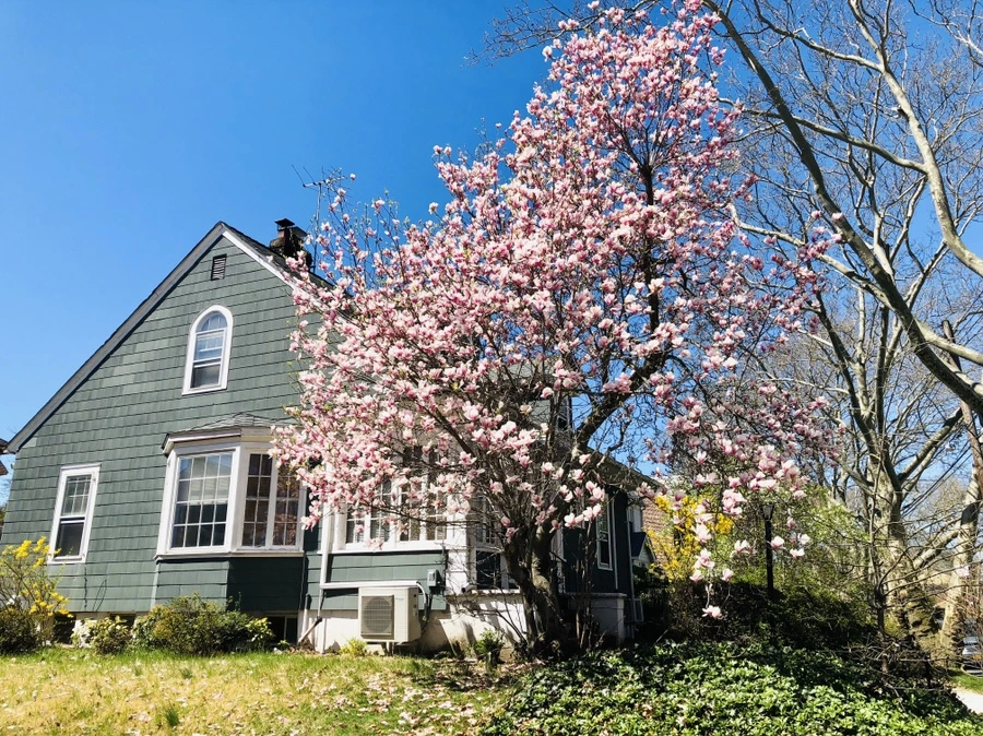 IMG_3020.jpg?type=w966