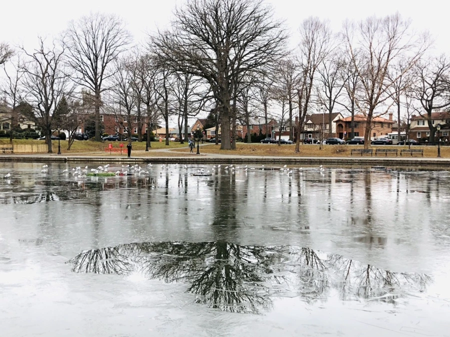 IMG_9049.jpg?type=w966