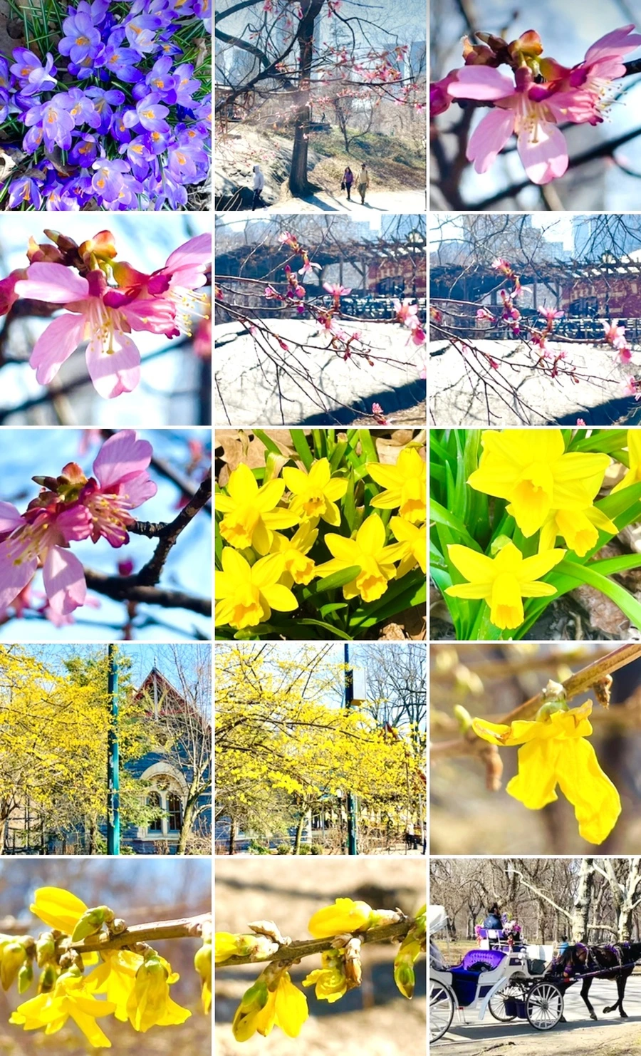 IMG_5641.jpg?type=w966