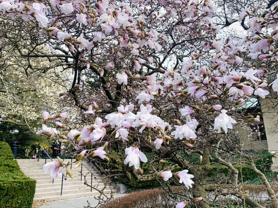 IMG_6488.jpg?type=w966