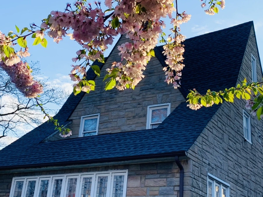 IMG_2459.jpg?type=w966