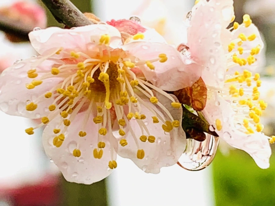 IMG_1873.jpg?type=w966