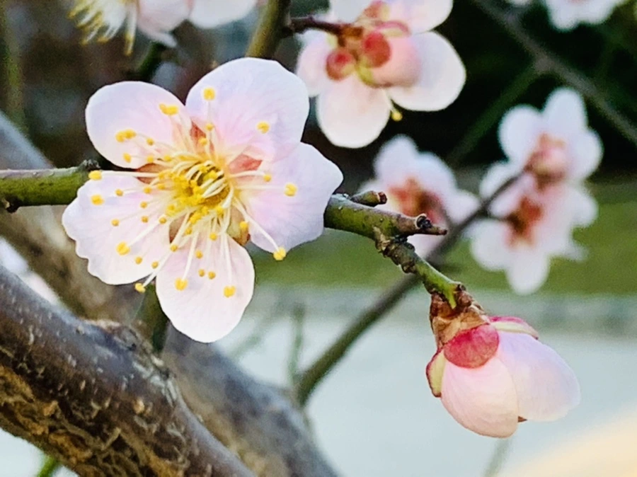 IMG_0863.jpg?type=w966