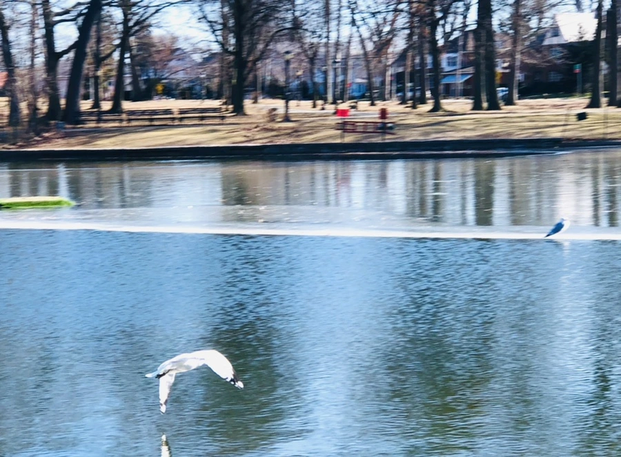 IMG_5532.jpg?type=w966