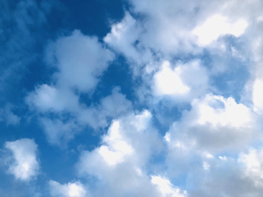 IMG_9659.jpg?type=w966