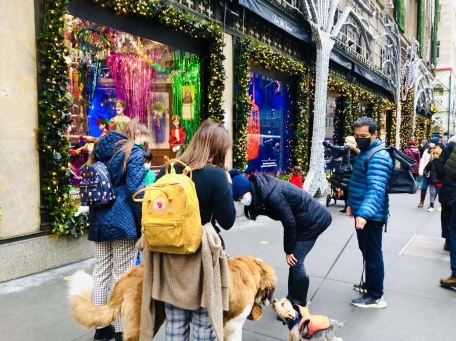 IMG_8046.jpg?type=w966