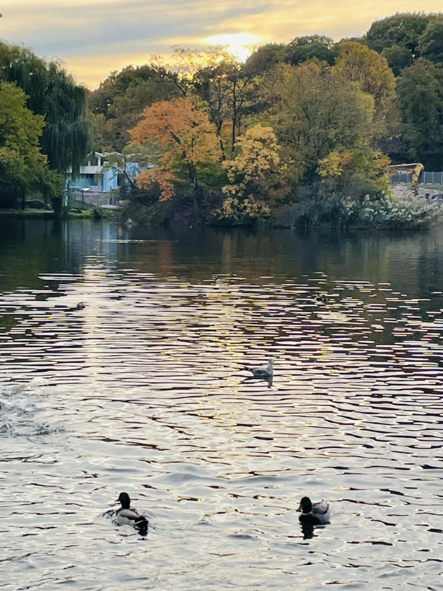 IMG_1312.jpg?type=w966