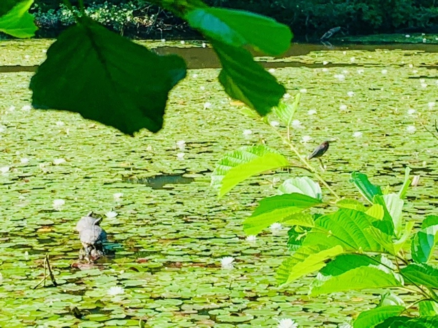 psxA-sJ4yzjWU7nkJ9rK2SXlweI