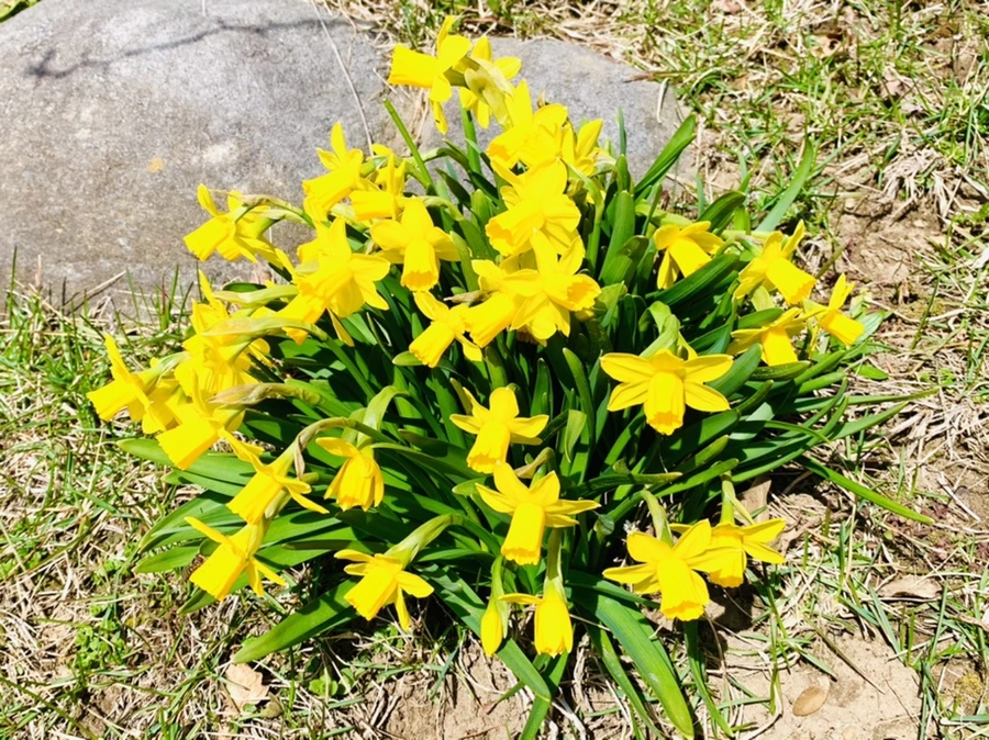 IMG_3376.jpg?type=w966