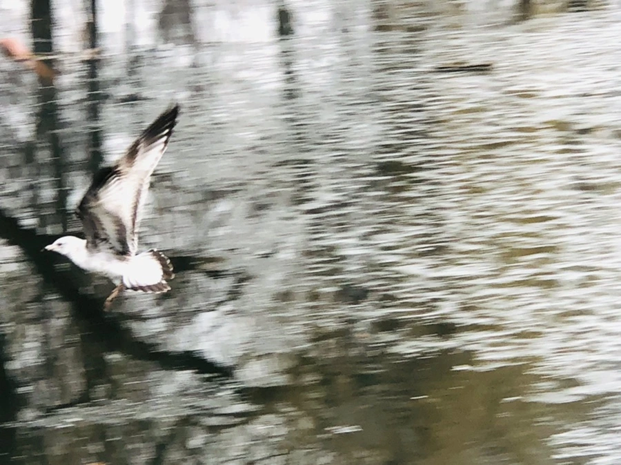 IMG_5571.jpg?type=w966