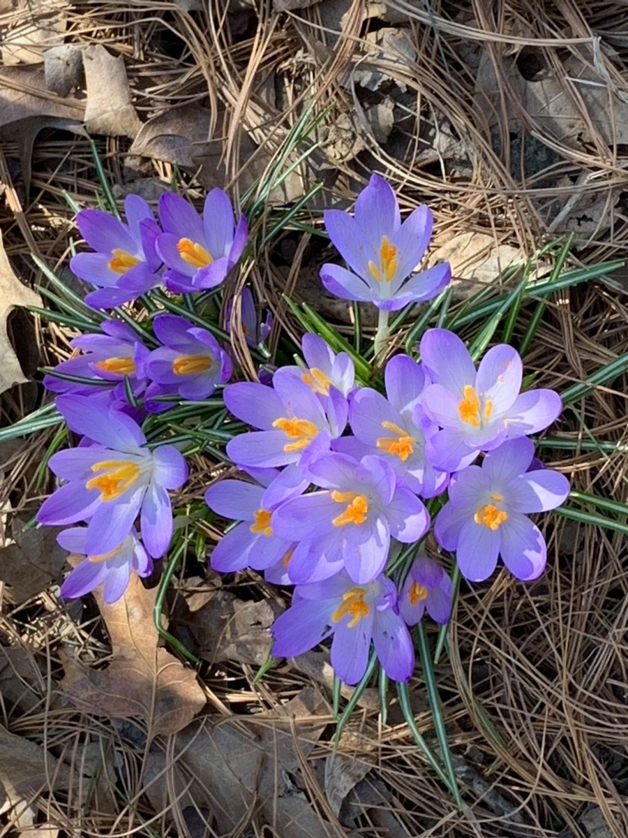 tF1LfJJTzGv-k58nS_-i3LjMS78