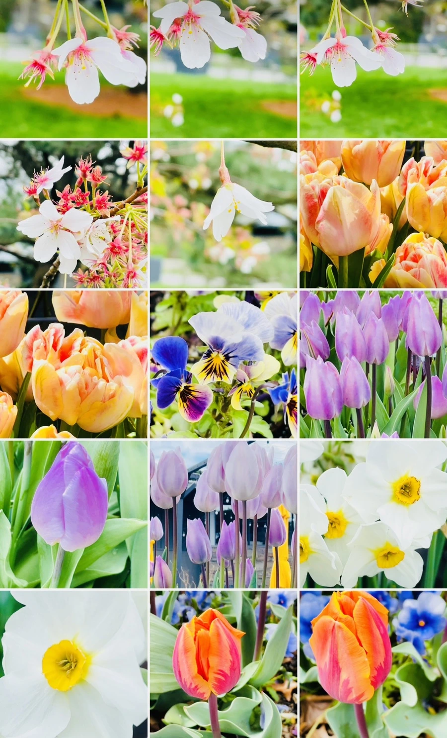 IMG_1435.jpg?type=w966