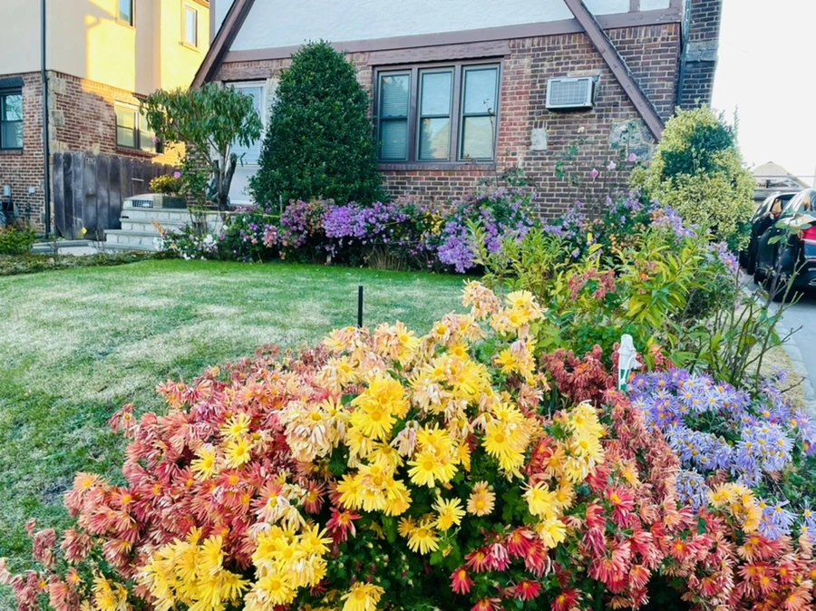 IMG_4098.jpg?type=w966