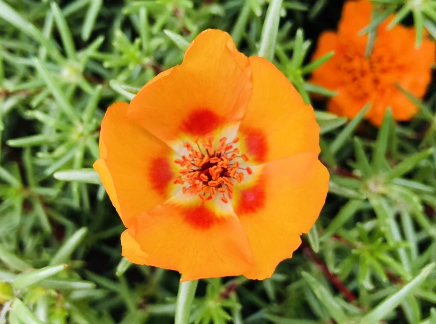 IMG_1473.jpg?type=w966