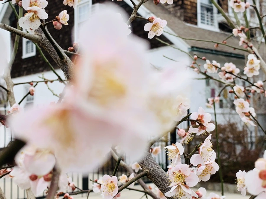 IMG_1707.jpg?type=w966