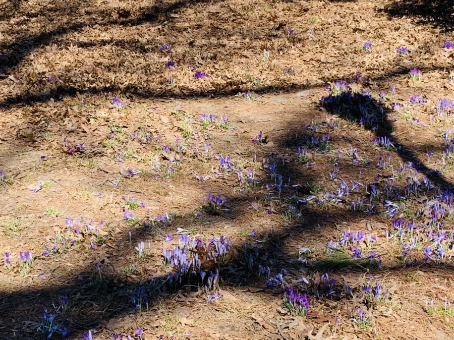 IMG_1476.jpg?type=w966