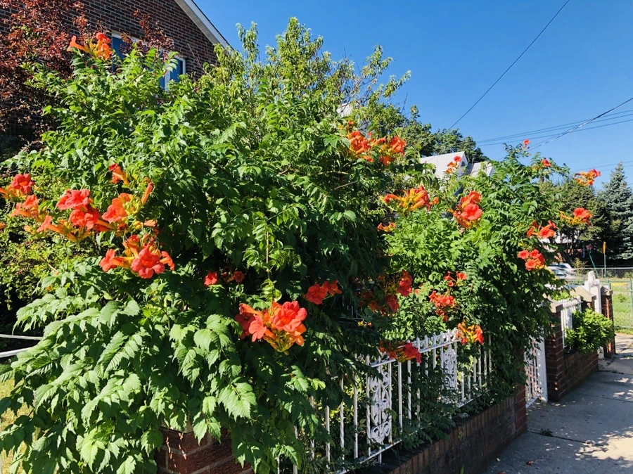 IMG_2369.jpg?type=w966