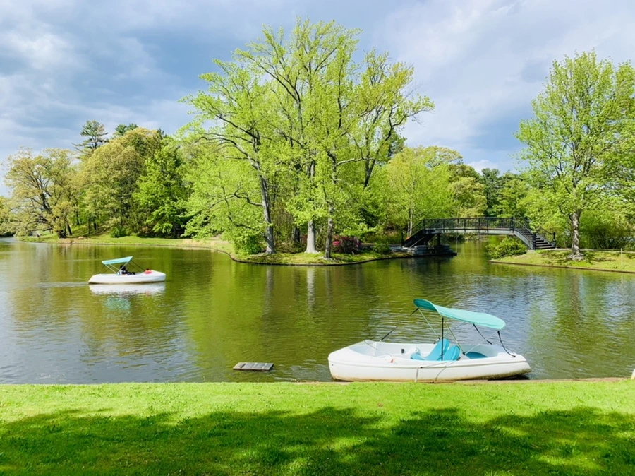 IMG_2487.jpg?type=w966