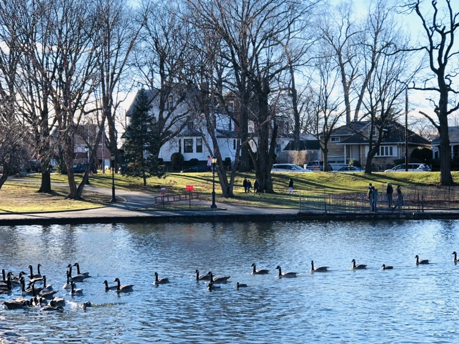 IMG_9272.jpg?type=w966